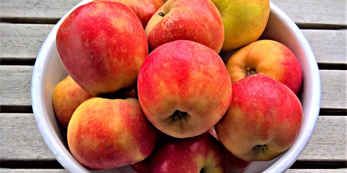 Il riscaldamento non lascia scampo alle mele tradizionali inglesi